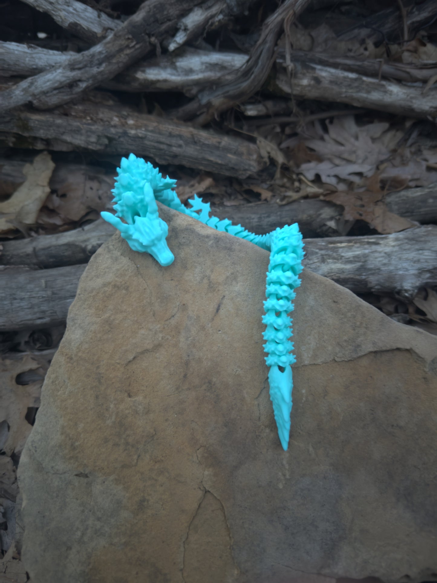 Bendable Dragon