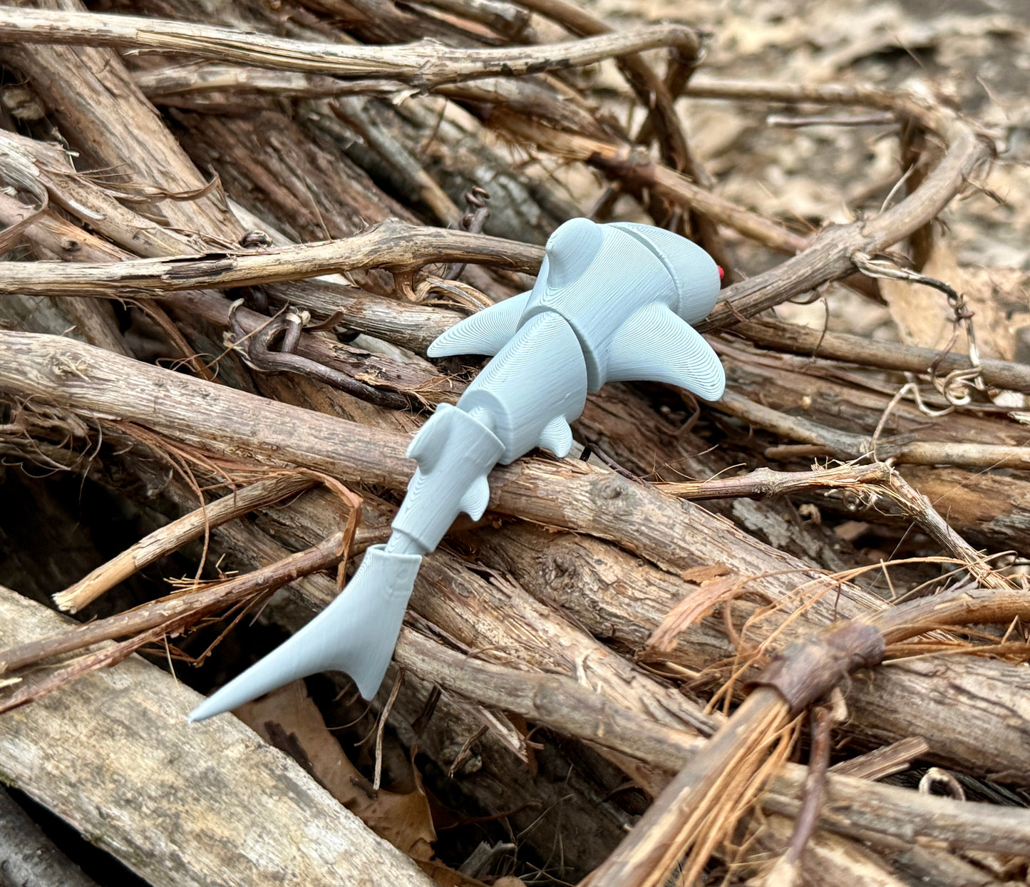 Whale Shark - Articulated